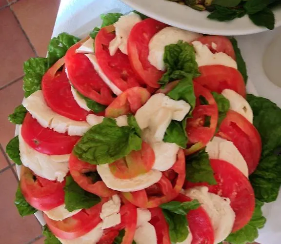 Agriturismo Primaluce مزرعة للإقامة